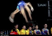 Iranian Teenage Gymnast Invited to National Team after His Display Goes Viral