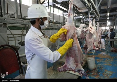 دامپزشكي،دام،استان،ذبح،كردستان،قرباني،گوشت،مديركل،روز