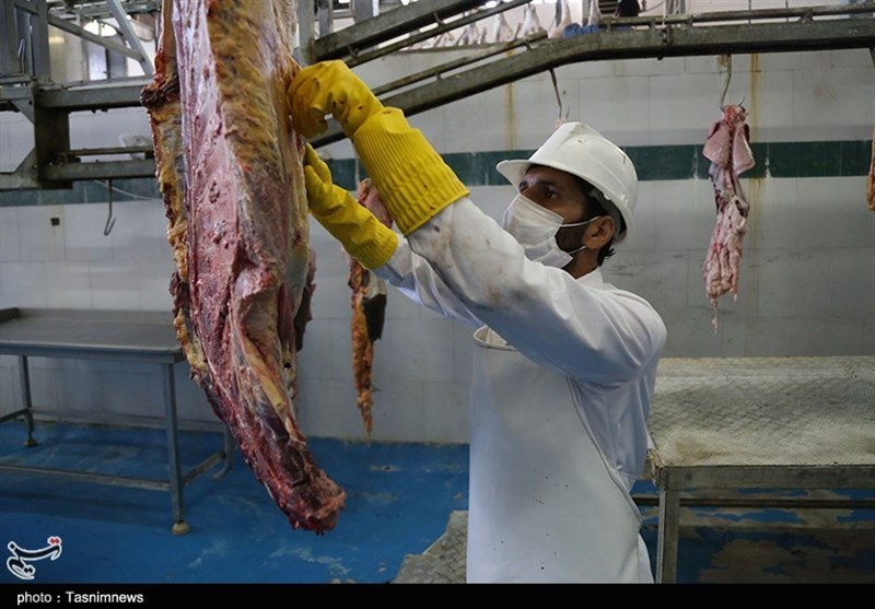 مدیرکل دامپزشکی همدان: توزیع گوشت قربانی یک روز پس از ذبح انجام شود