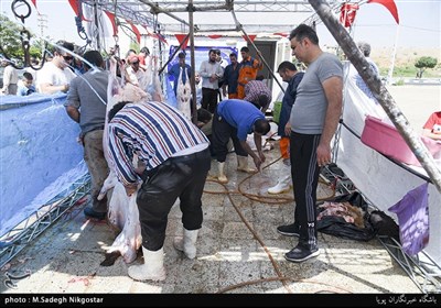 بازار دام کرج در عید قربان