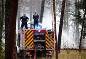 Firefighters Make Progress with Forest Fire outside Berlin