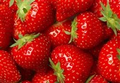 ما علاقة الفراولة بصحة المعدة والأمراض المعویة؟
