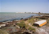 مرگ تنها خلیج ایرانی خزر به روایت تصویر
