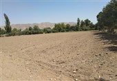فیلم| وعده‌های توخالی مترو دامن کشاورزان چشمه علی را گرفت