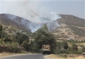 فرماندار مریوان: کمک سپاه، بسیج و ارتش به مهار آتش‌سوزی جنگل‌های &quot;سلسی و پیله&quot;/ اگر کمک‌های آن‌ها نبود خسارات بیشتر می‌شد