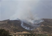 ایلام| جنگل‌های کبیرکوه دچار آتش‌سوزی شد