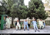 تهران| ایثارگران قادر به پرداخت مابه‌التفاوت تجهزات پزشکی نیستند
