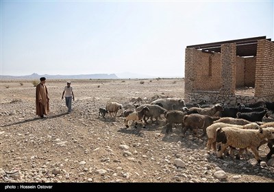 اردوی جهادی استان بوشهر