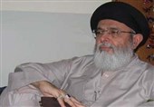 اسلامی ممالک ہالینڈ سے سفارتی تعلقات ختم کریں، حامد موسوی