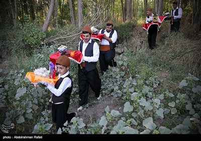 جشنواره ملی سیر سولان همدان