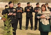 پاک بحریہ کی مارگلہ کی پہاڑیوں پر شجر کاری مہم