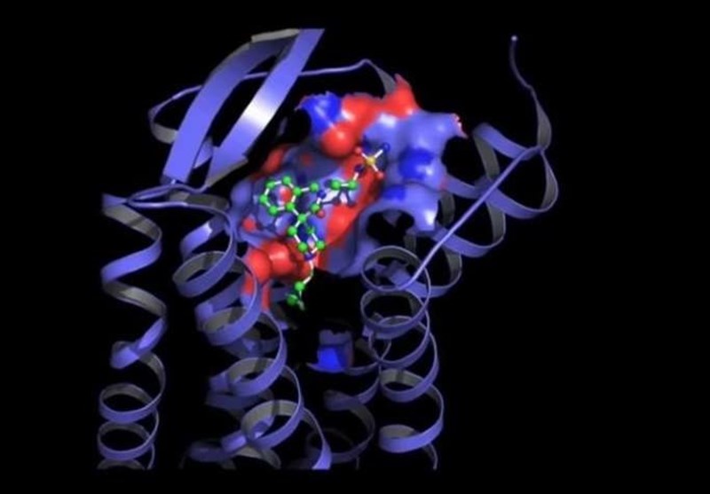 Monkey Study Shows Promising Results for Making Non-Addictive Painkiller