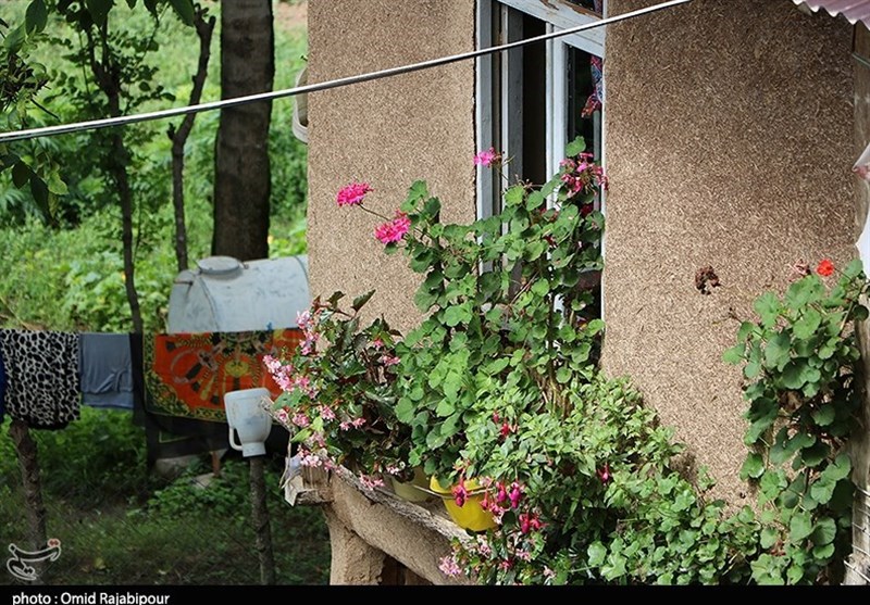 روستای &quot;کیکاووس&quot; با خانه‌های گلی در اشکورات گیلان به روایت تصویر