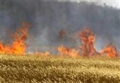 آتش‌سوزی در مراتع و جنگل‌های کهگیلویه و بویراحمد کاهش یافت
