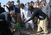 پروژه بزرگ کاشت درخت در پاکستان آغاز شد