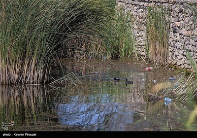 مرگ تدریجی بزرگترین دریاچه آب شیرین ایران