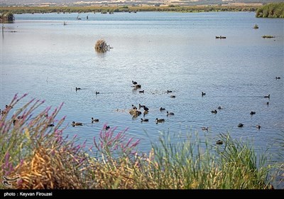 مرگ تدریجی بزرگترین دریاچه آب شیرین ایران