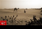 صحرائے تھر کے منفرد مناظر