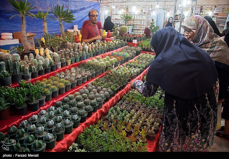 تهران| توسعه اقتصاد پاکدشت با اشتغال‌آفرینی در زمینه گل و گیاه محقق می‌شود