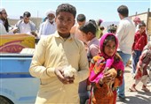 اقدامات جدید بسیج سازندگی در زمینه اشتغالزایی و کسب درآمد مناطق محروم خراسان جنوبی