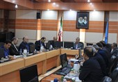 شعبه تخصصی برای رسیدگی به پرونده محتکران کالاها در بوشهر تشکیل شد