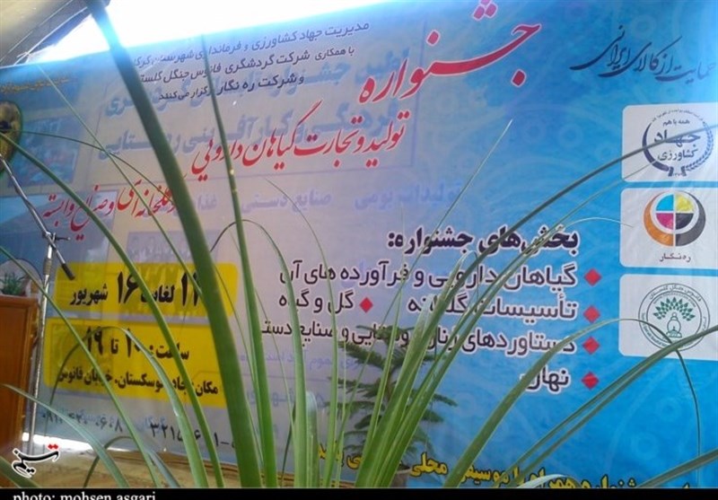 جشنواره و نمایشگاه گیاهان دارویی استان گلستان در 40 غرفه برپا شد+تصاویر
