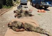 Intelligence Forces Smash Two Terrorist Cells in Western Iran