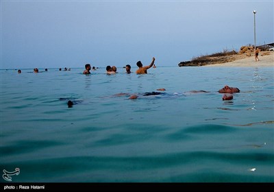 سواحل جزیره خارک - خلیج فارس