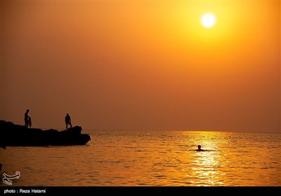 سواحل جزیره خارک - خلیج فارس