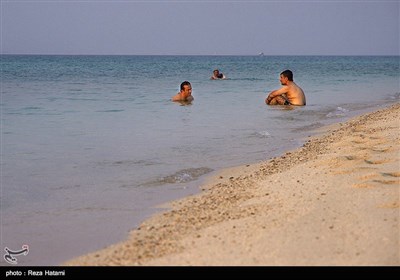 سواحل جزیره خارک - خلیج فارس