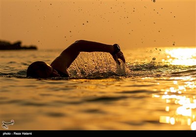 سواحل جزیره خارک - خلیج فارس