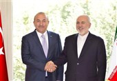 ظریف یلتقی نظیره الترکی