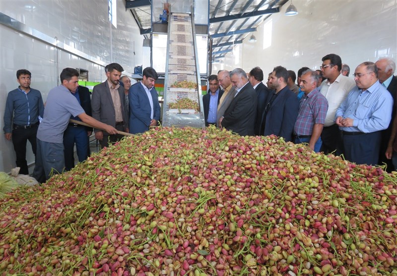 سفر وزیر جهاد کشاورزی به شهرستان دامغان به روایت تصویر