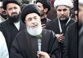 بھارت اور امریکا پاکستان کے خلاف سازشوں میں مصروف ہیں، حامدموسوی