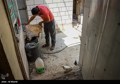 کارگاه دمام سازی حاج محمدعلی ناصر در شهرستان اهواز 40 سال در ساخت دمام سابقه دارد و این کارگاه اولین کارگاه ساخت دمام در اهواز است.
