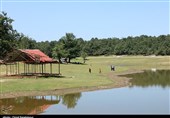 Saqalaksar Lake: A Beautiful Lake among Forest