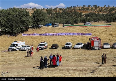 دومین جشنواره ملی انگور سیاه سردشت 