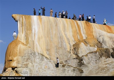 دومین جشنواره ملی انگور سیاه سردشت 