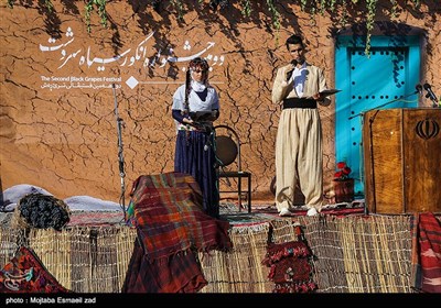 دومین جشنواره ملی انگور سیاه سردشت 