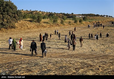 دومین جشنواره ملی انگور سیاه سردشت