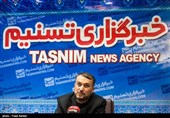 Iranian Official Reveals Proof of Saudi Arabia's Suspicious Act before Tehran Embassy Attack