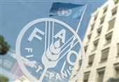 إیران تستعید حقها فی التصویت داخل "الفاو" بعد 15 عاماً