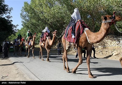  ورود نمادین کاروان امام حسین (ع) به کربلا