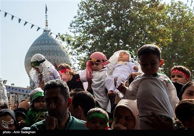 همایش شیرخوارگان حسینی در شیراز