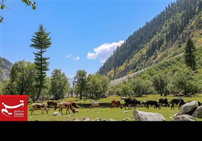 درہ سوات کے منفرد اور خوبصورت مناظر