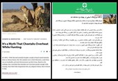 گاف یوزپلنگی روابط عمومی سازمان حفاظت محیط زیست