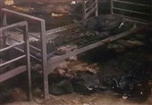 خودسوزی جمعی به خاطر اخراج از اتریش