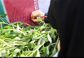 پیکر شهید "علیاصغر اکبری" پس از 35 سال به آغوش میهن بازگشت
