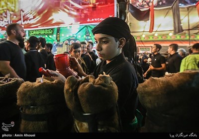 آئین مشعل گردانی نجفی های مقیم تهران در دولت آباد