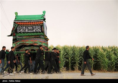 آیین سنتی نخل و علم گردانی در روستای مرادآباد -اراک